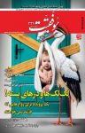 کتاب دوهفته‌نامه موفقیت – شماره ۳۳۱ (نسخه PDF) نوشته  گروه نویسندگان